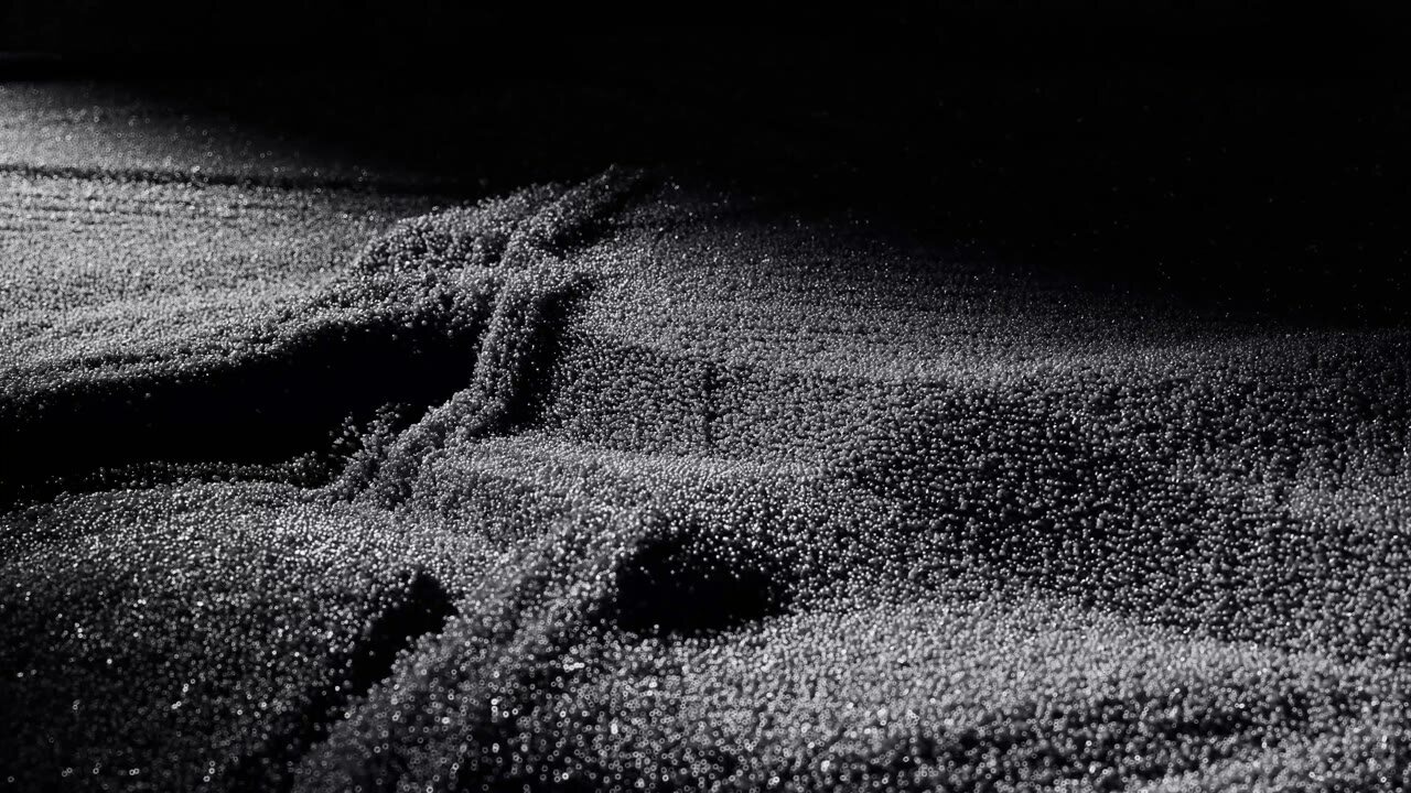 Macro of a textured surface